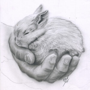 Bunny in hand