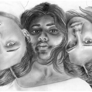 The Ladies View
