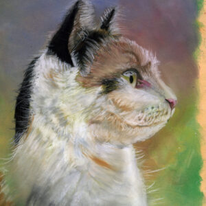 Side Cat