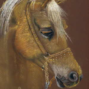 The Horse